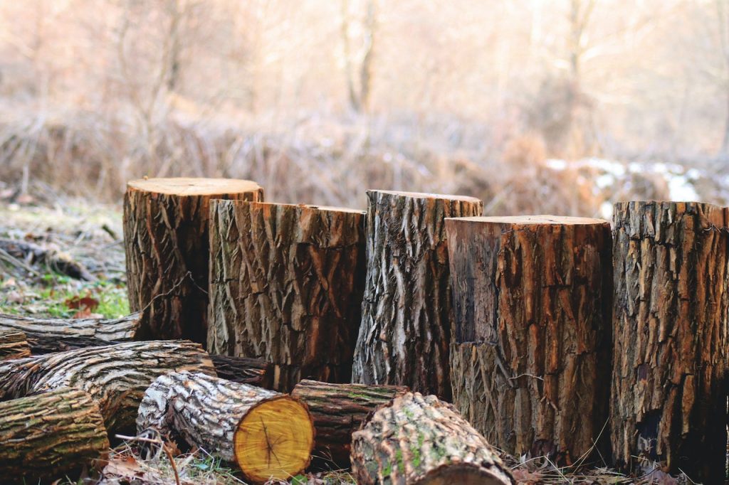 Alles wat je moet weten wanneer je haardhout gaat kopen